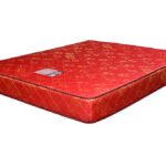 EuroFoam Orthopaedic